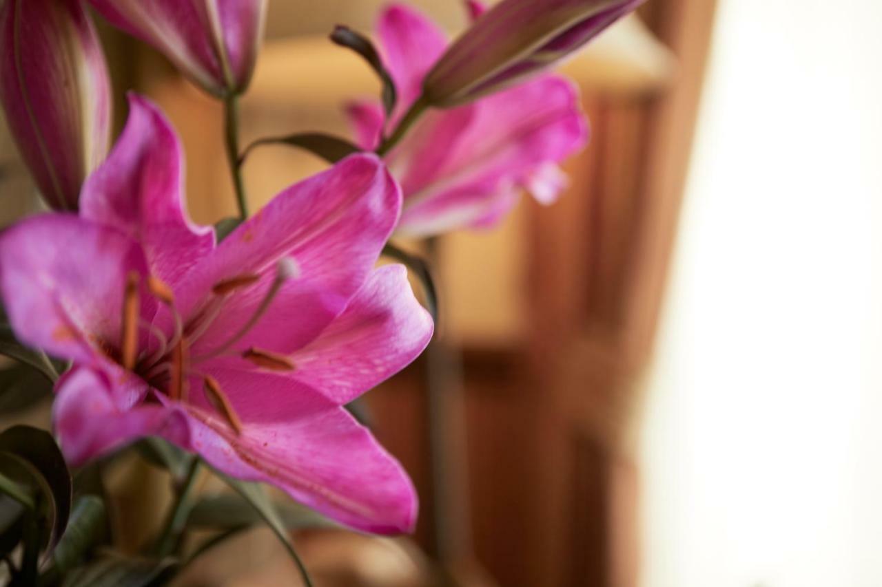 Ashburton House - B&B سكرابورو المظهر الخارجي الصورة